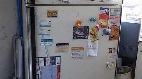 Rock Lobster '16 - Maplegrove-No.-526.jpg