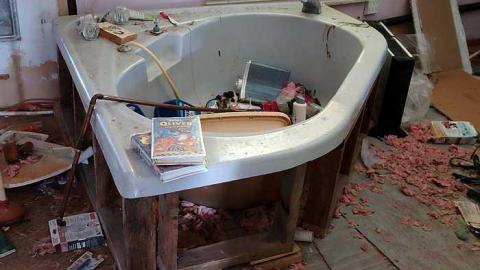 Rock Lobster '16 - Maplegrove-No.-515.jpg