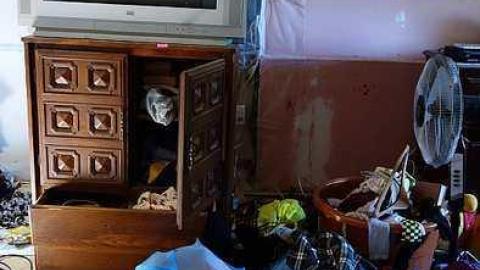 Rock Lobster '16 - Maplegrove-No.-516.jpg