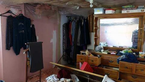 Rock Lobster '16 - Maplegrove-No.-518.jpg