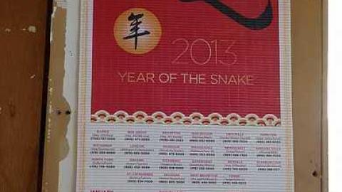 Rock Lobster '16 - Maplegrove-No.-520.jpg