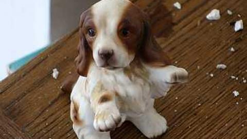 Rock Lobster '16 - Maplegrove-No.-519.jpg