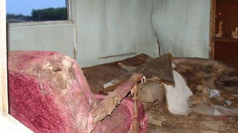 house on hill 2011 - DSC03276.jpg