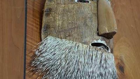 To David '16 - DSC06581.jpg