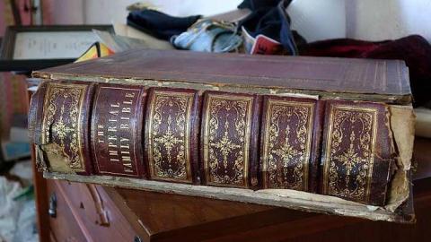 To David '16 - DSC06620.jpg