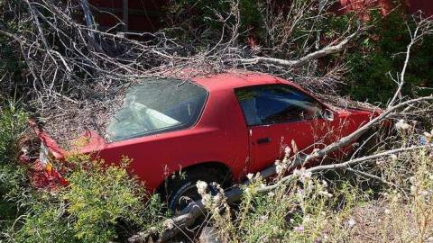 To David '16 - DSC06691.jpg