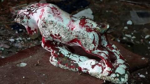 To David '16 - DSC06695.jpg