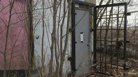 Trippy Bus - Victory-Soy-Mills27.jpg