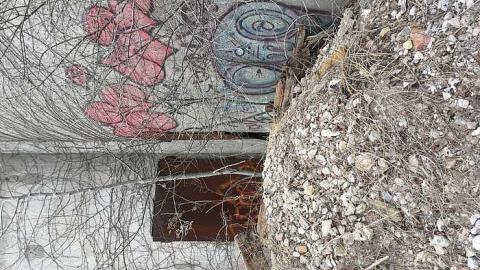 Trippy Bus - Victory-Soy-Mills24.jpg