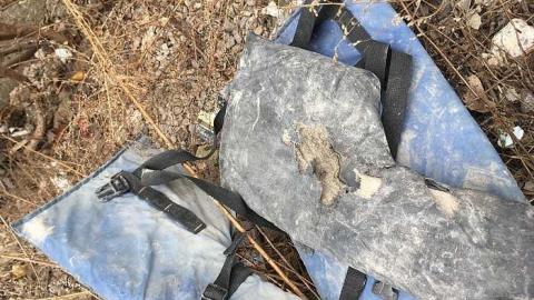 Photo from Trippy Bus