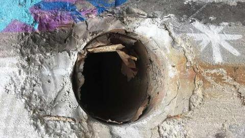 Trippy Bus - Victory-Soy-Mills21.jpg