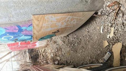 Trippy Bus - Victory-Soy-Mills20.jpg