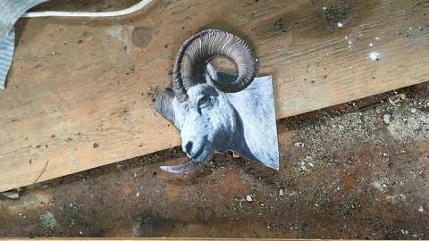 Trippy Bus - Victory-Soy-Mills11.jpg