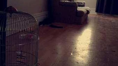 Athol Home - Mobile - Athol-Home36.jpg