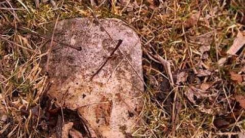 Our Parents Here Lie - Sheard-Monument11.jpg