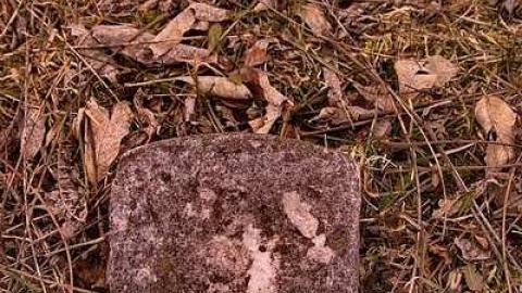 Sheard Monument photo 2