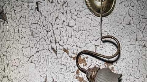 Photo from Still Standing 2017