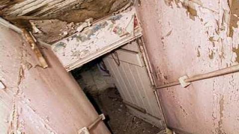 Still Standing 2017 - IMG_0271s.jpg