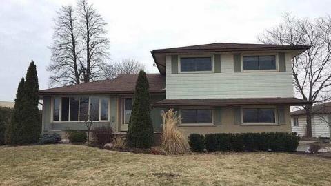 march 2017 - 20781.jpg