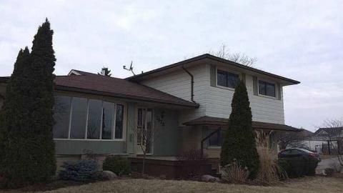 Green Road Side/split cover photo