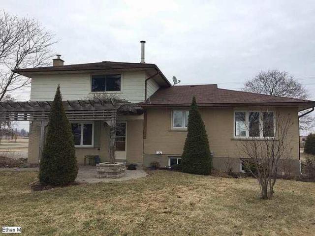 Green Road Side/split photo 4