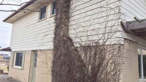 march 2017 - 20788.jpg