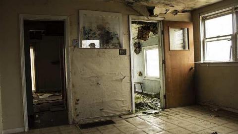 Cobwebs - Strathroy-Caradoc, Ontario