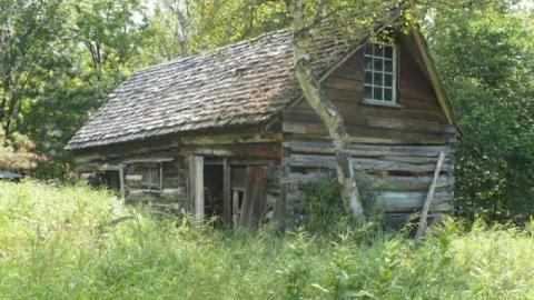 snow day - Snow-Day-Camp5.jpg