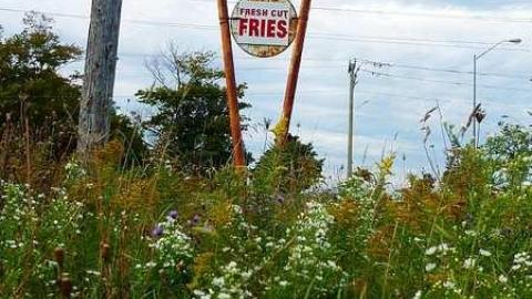 Photo from Fries with that?