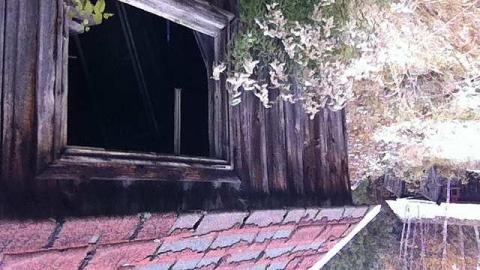 Opeongo Road - Opeongo-Road-Ghost-Towns66.jpg