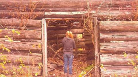 Photo from Opeongo Road