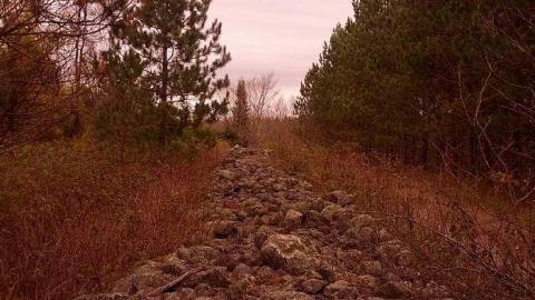 Photo from Opeongo Road