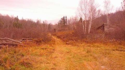 Opeongo Road - Opeongo-Road-Ghost-Towns69.jpg