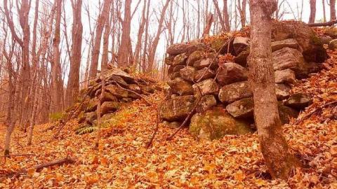 Photo from Opeongo Road