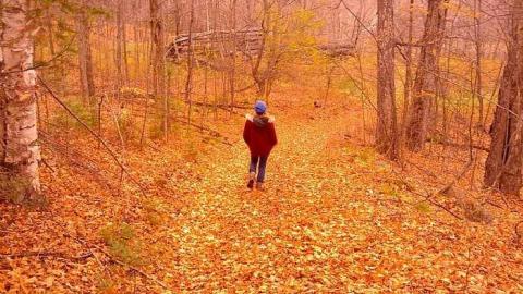 Opeongo Road - Opeongo-Road-Ghost-Towns77.jpg