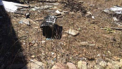 Photo from Opeongo Road