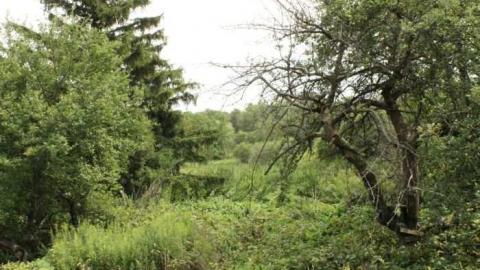 Gallery - Altona-(ghost-town)14.jpg