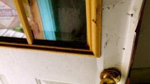 Gallery - Altona-(ghost-town)10.jpg