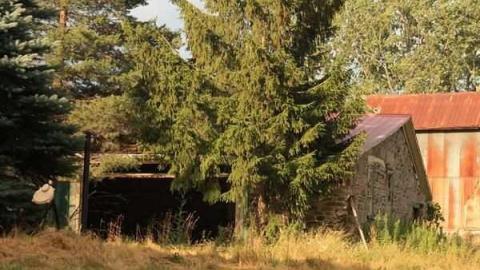 Redman Farm - Redman-Farmstead25.jpg