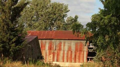 Redman Farm - Redman-Farmstead26.jpg