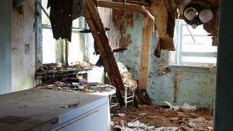 Mr. Pumpkinhead's Surge Milker photo 4