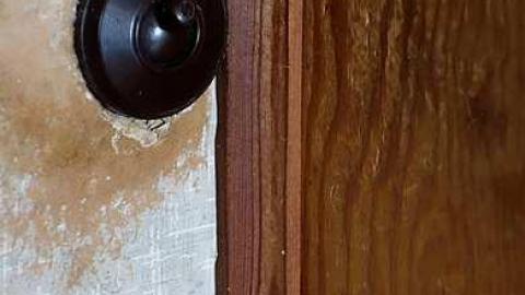 Mr. Pumpkinhead's Surge Milker - Kawartha Lakes, Ontario