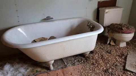 Cow Pie '16 - DSC00994.jpg