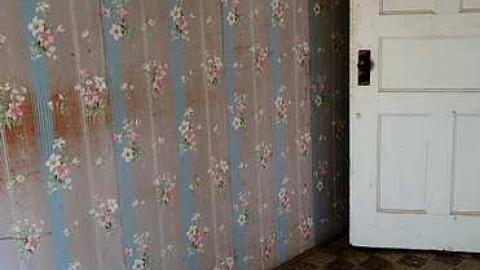 Cow Pie '16 - DSC00995.jpg