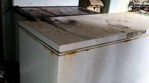 Cow Pie '16 - DSC00999.jpg