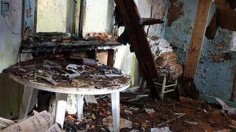 Mr. Pumpkinhead's Surge Milker photo 5