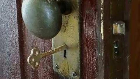 Cow Pie '16 - DSC01012.jpg