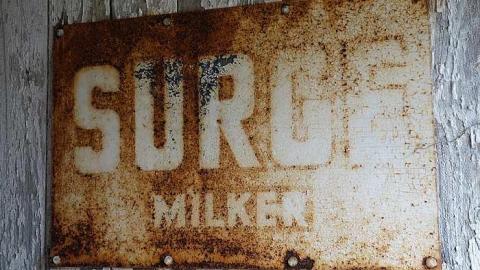 Cow Pie '16 - DSC01041.jpg