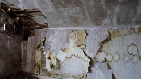 Beauty Eh? '16 - DSC01288.jpg