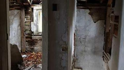 Beauty Eh? '16 - DSC01291.jpg